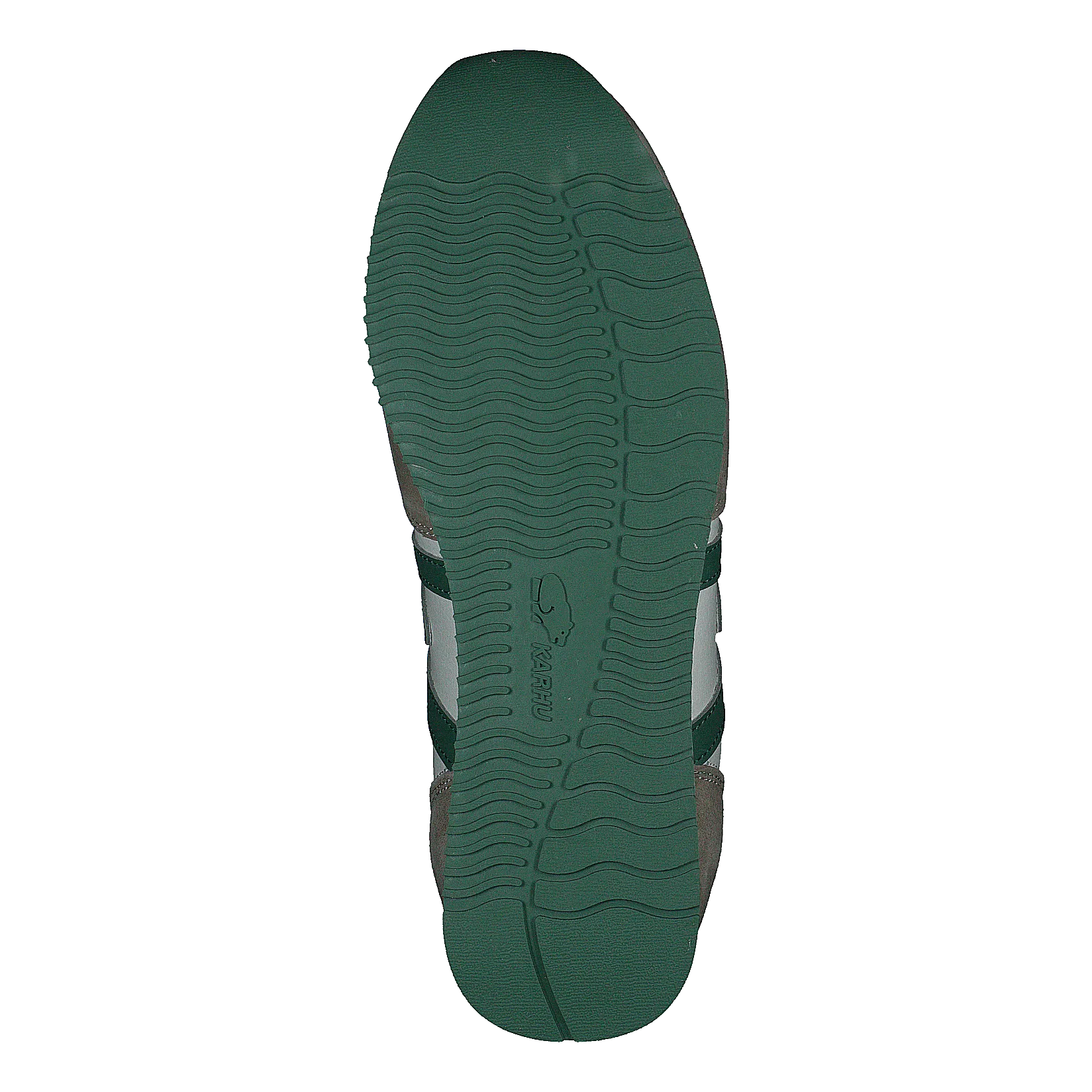 Albatross Spray Green / Dark Ivy